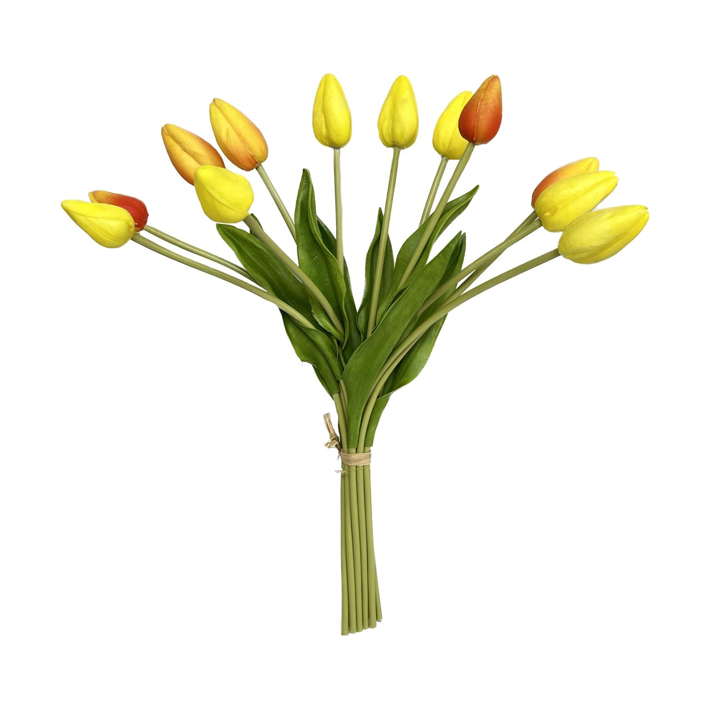 Peach Coral 18" One Dozen-Long Stem Real Touch Tulip Bud Bouquet