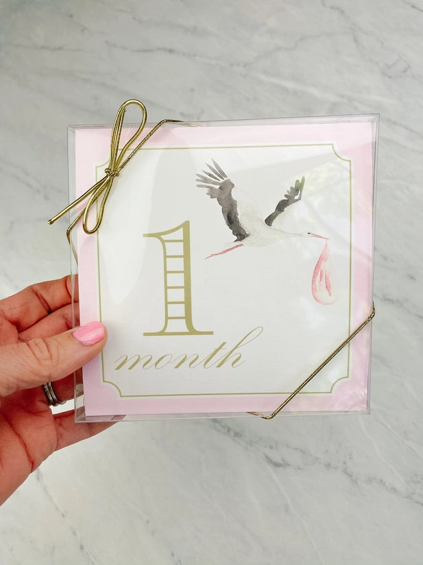Pink Milestone Cards