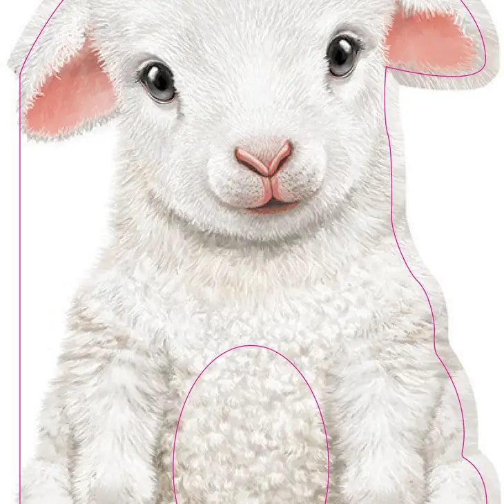 Furry Lamb Board Book