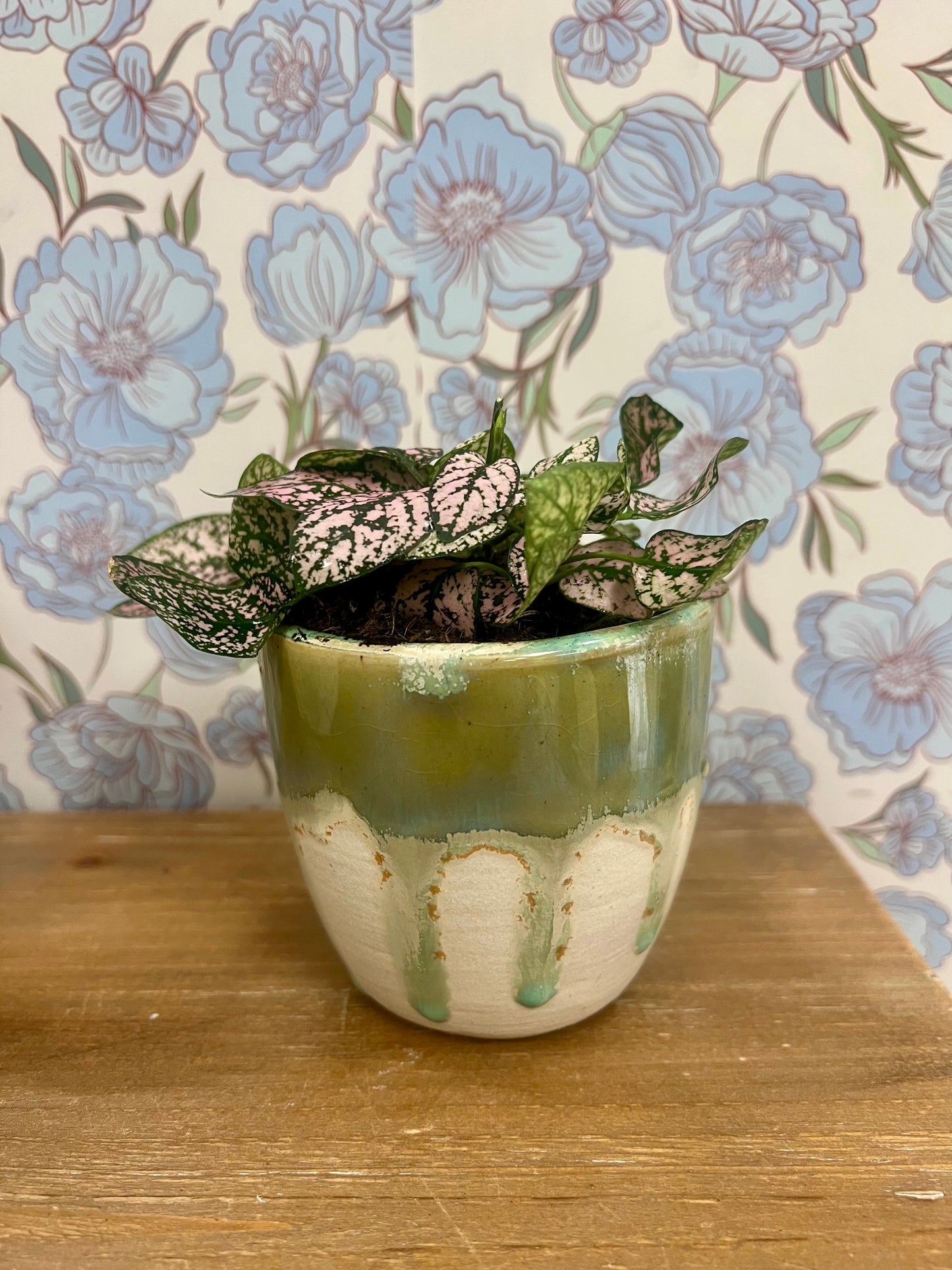 Mockingbird Tumbler Potted Pink Splash