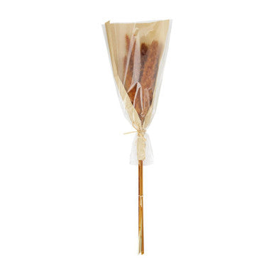 Red/Orange Preserved Pampas Grass