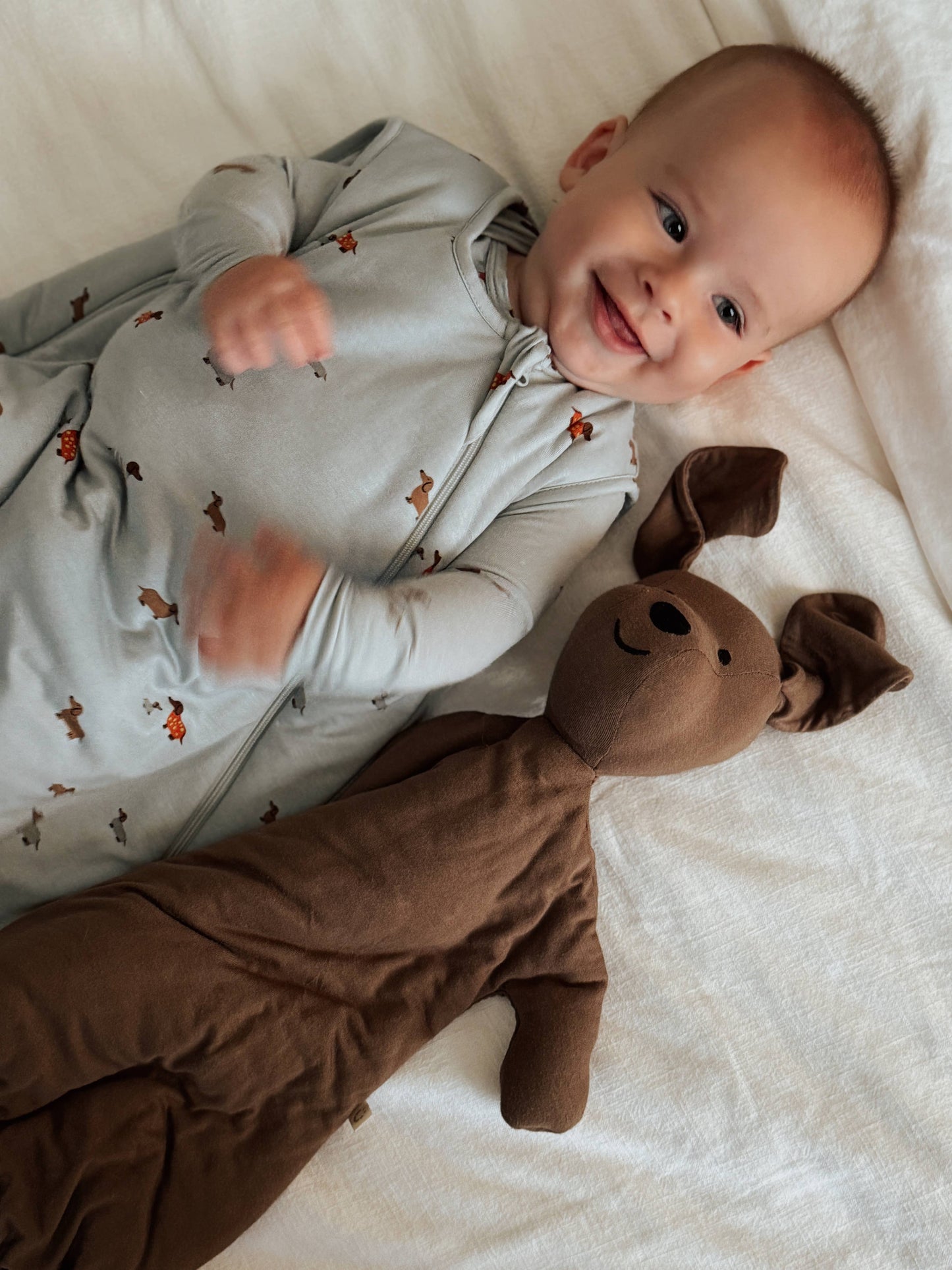 gunamuna Lovey Pup - Peanut (S26)