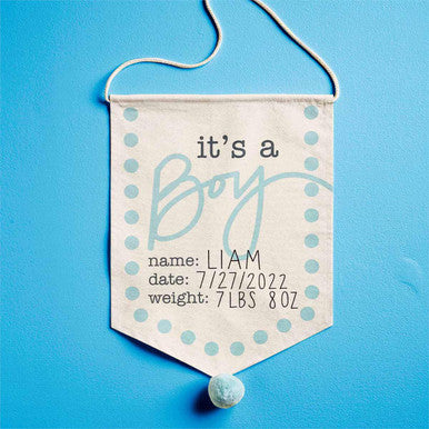 Baby Boy Announcement Sign