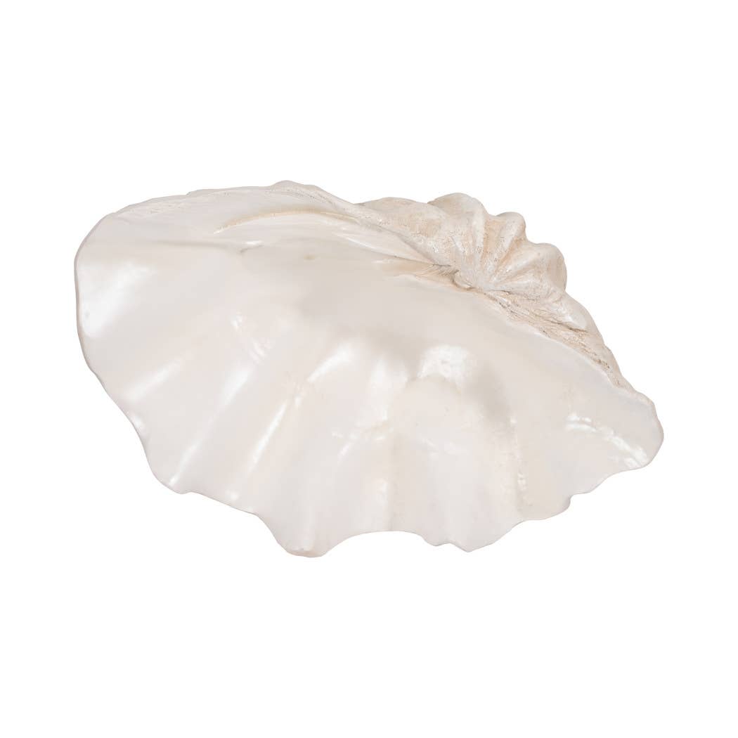 Ivory Polyresin Pearlized Clam Shell - 25 in.
