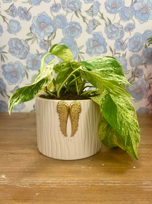 Angel Potted Marble Green