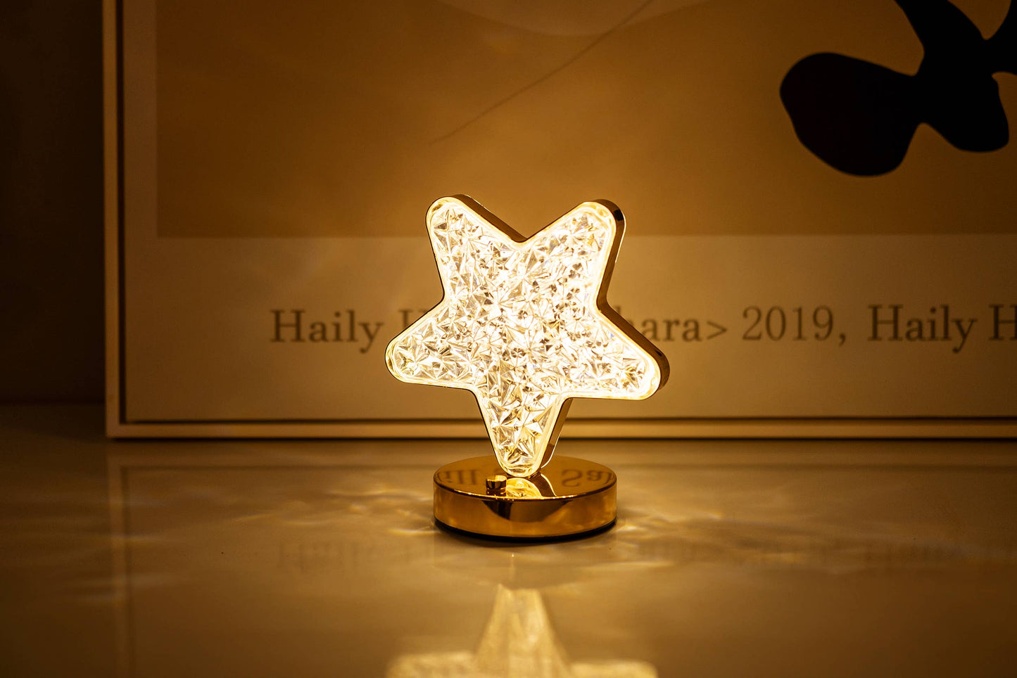 Star Night Stand LED Light