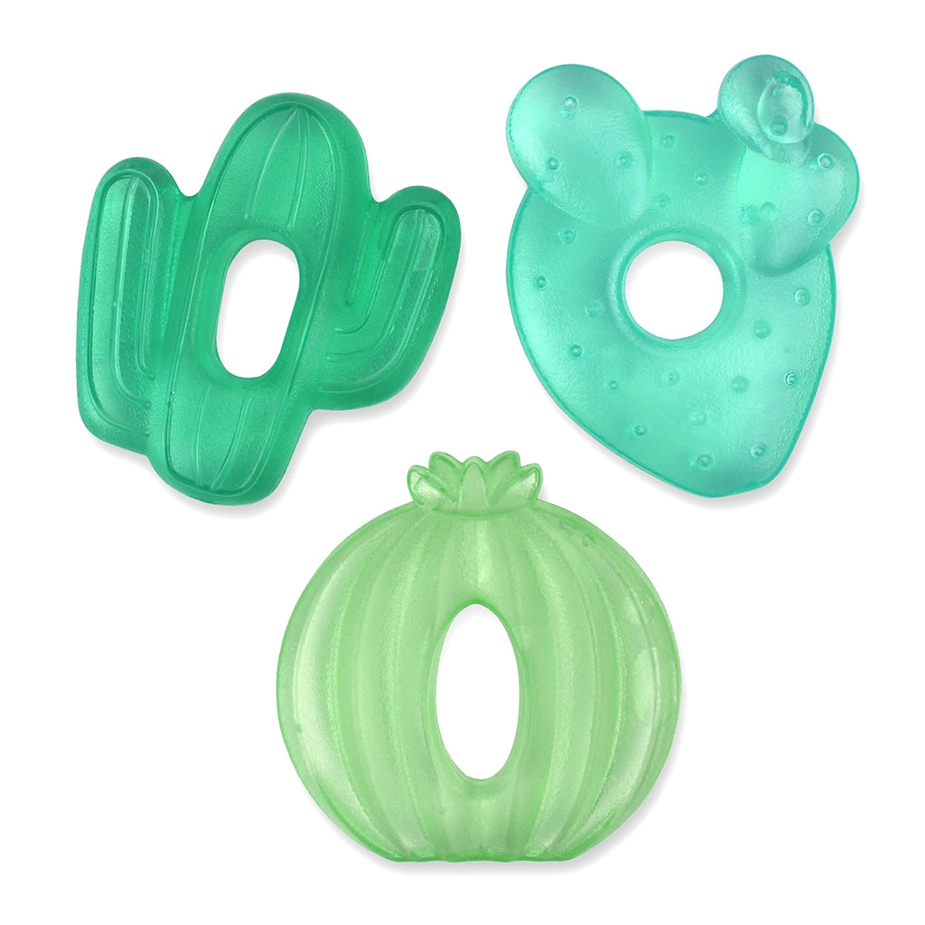 Cactus Cutie Coolers Teethers