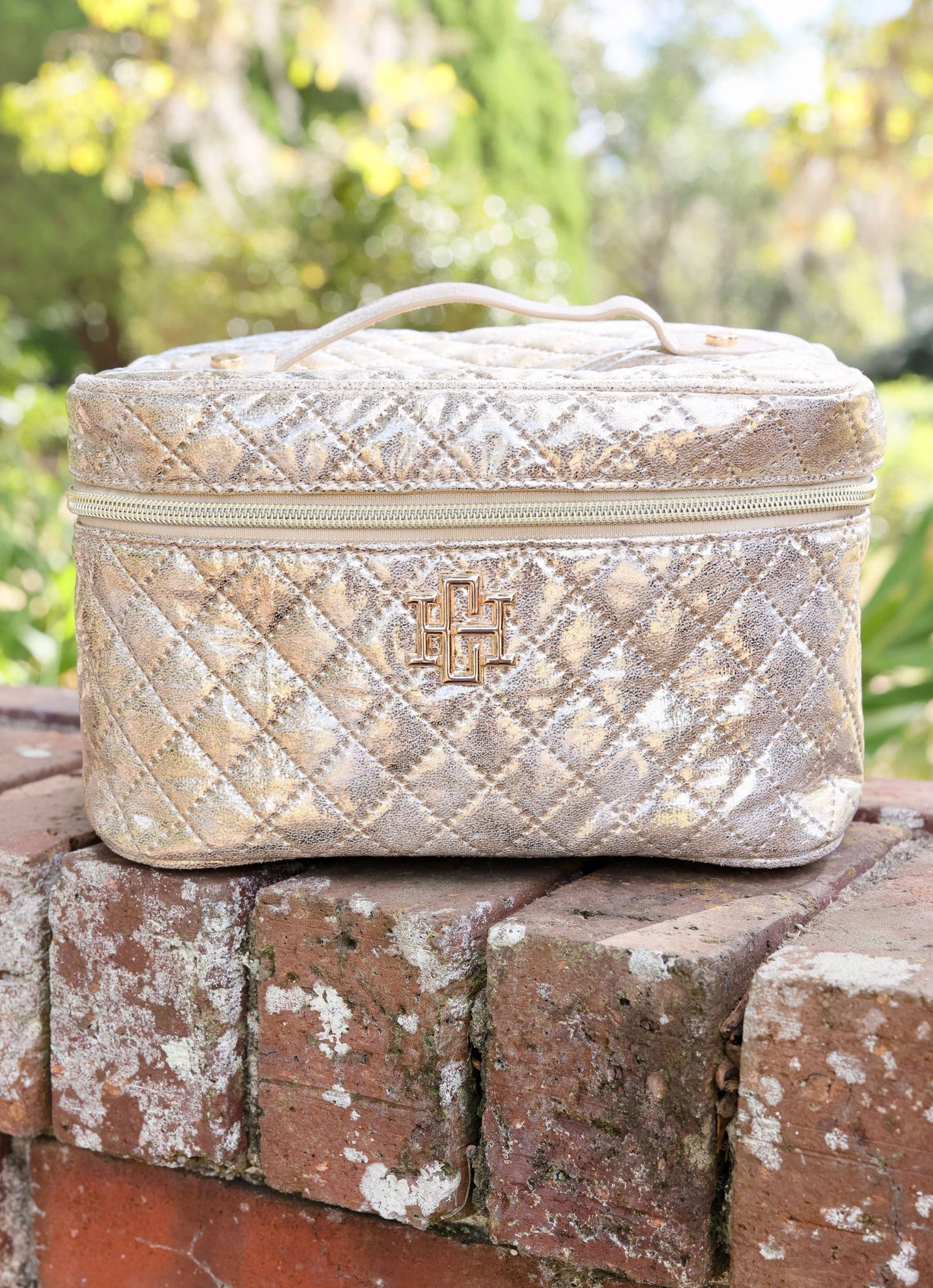 Hampton Train Case - Champagne Pop