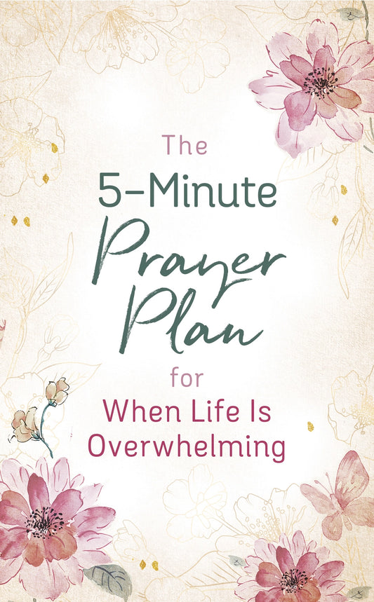 The 5 Minute Plan For When Life Is Overwhelming Devotion