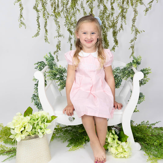 Light Pink Pleated Peter Pan Collar Dress