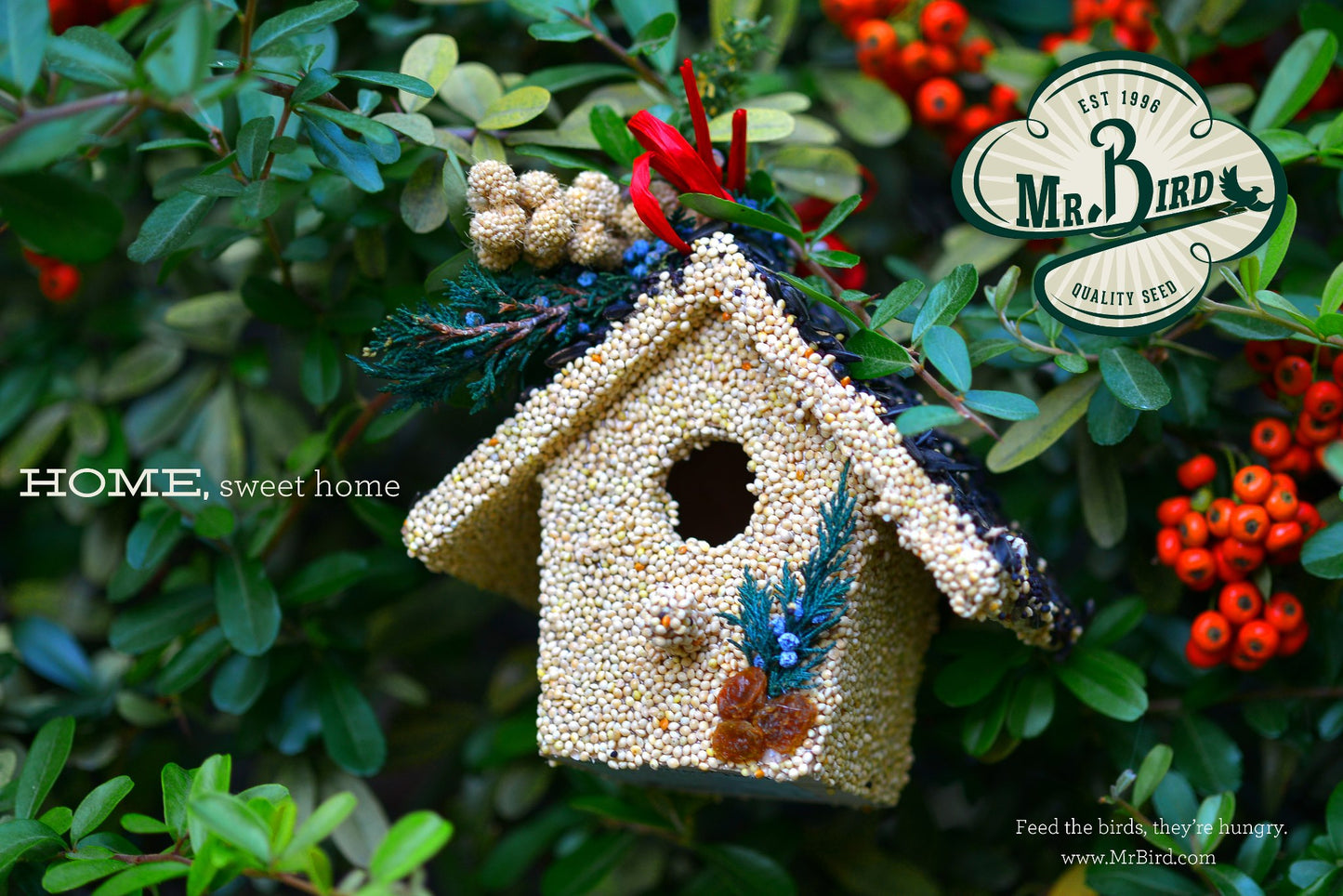 Holiday Bird Seed Bird House