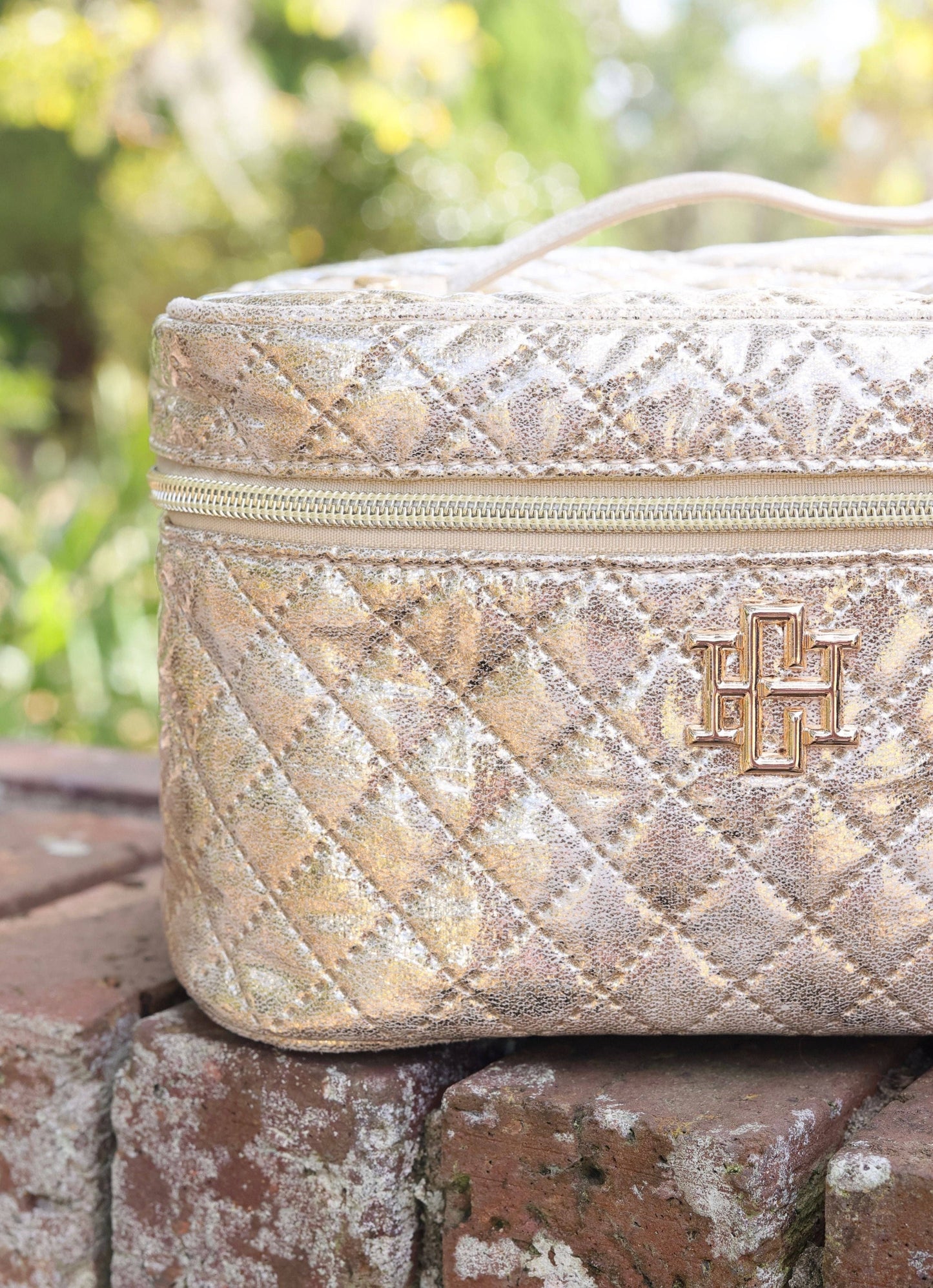 Hampton Train Case - Champagne Pop