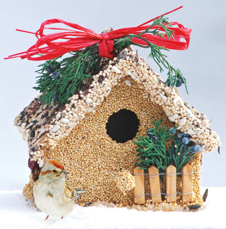 Holiday Bird Seed Bird House