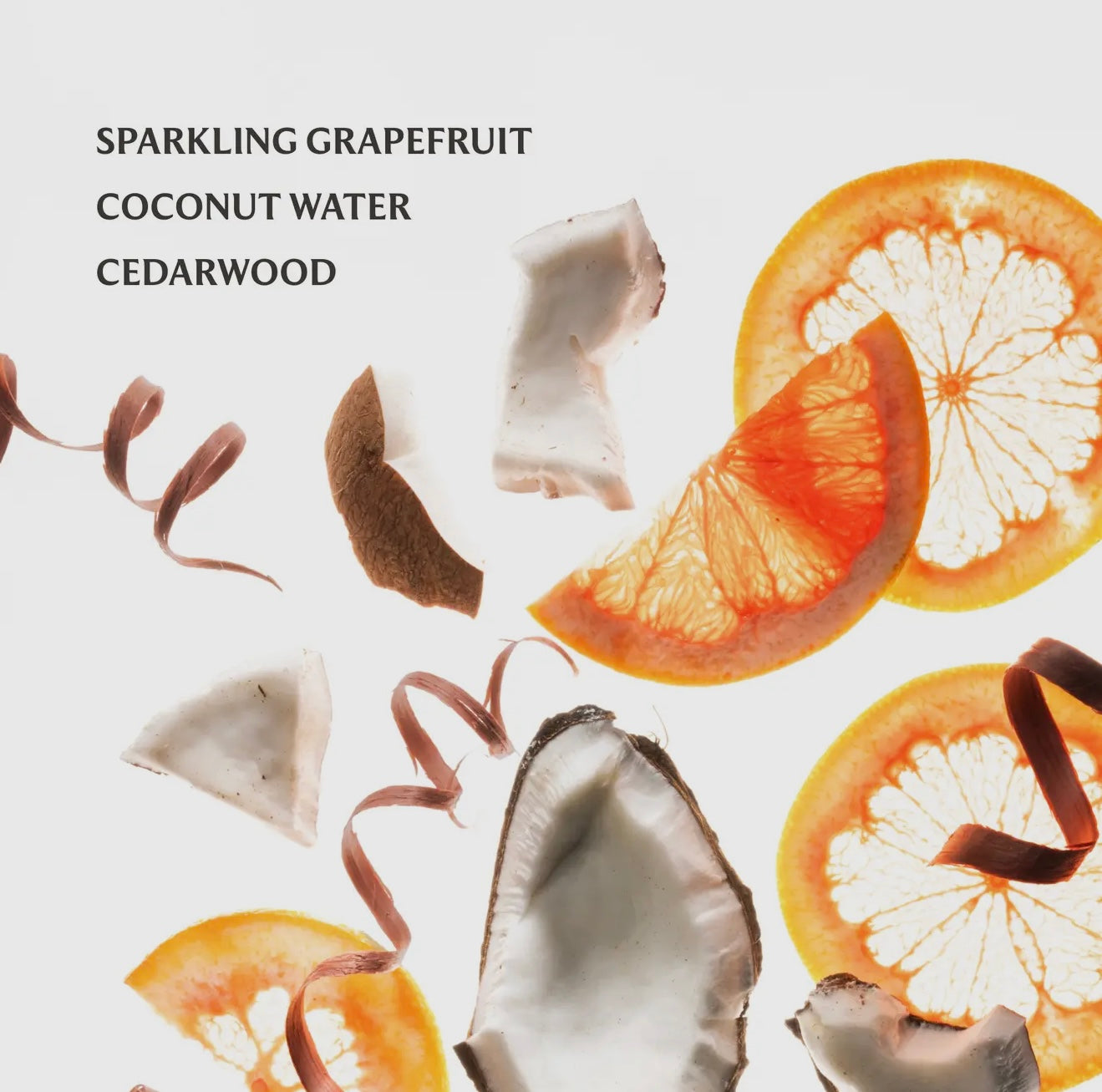 Touchland Beach Coco Hand Sanitizer