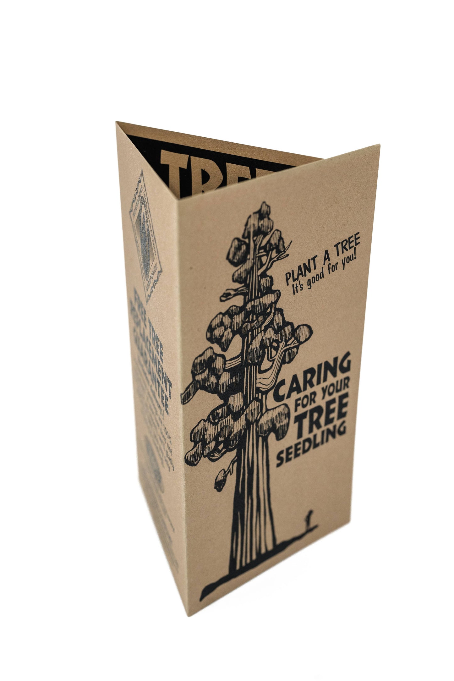 Living Christmas Tree | Douglas-Fir | Packaged Live Tree