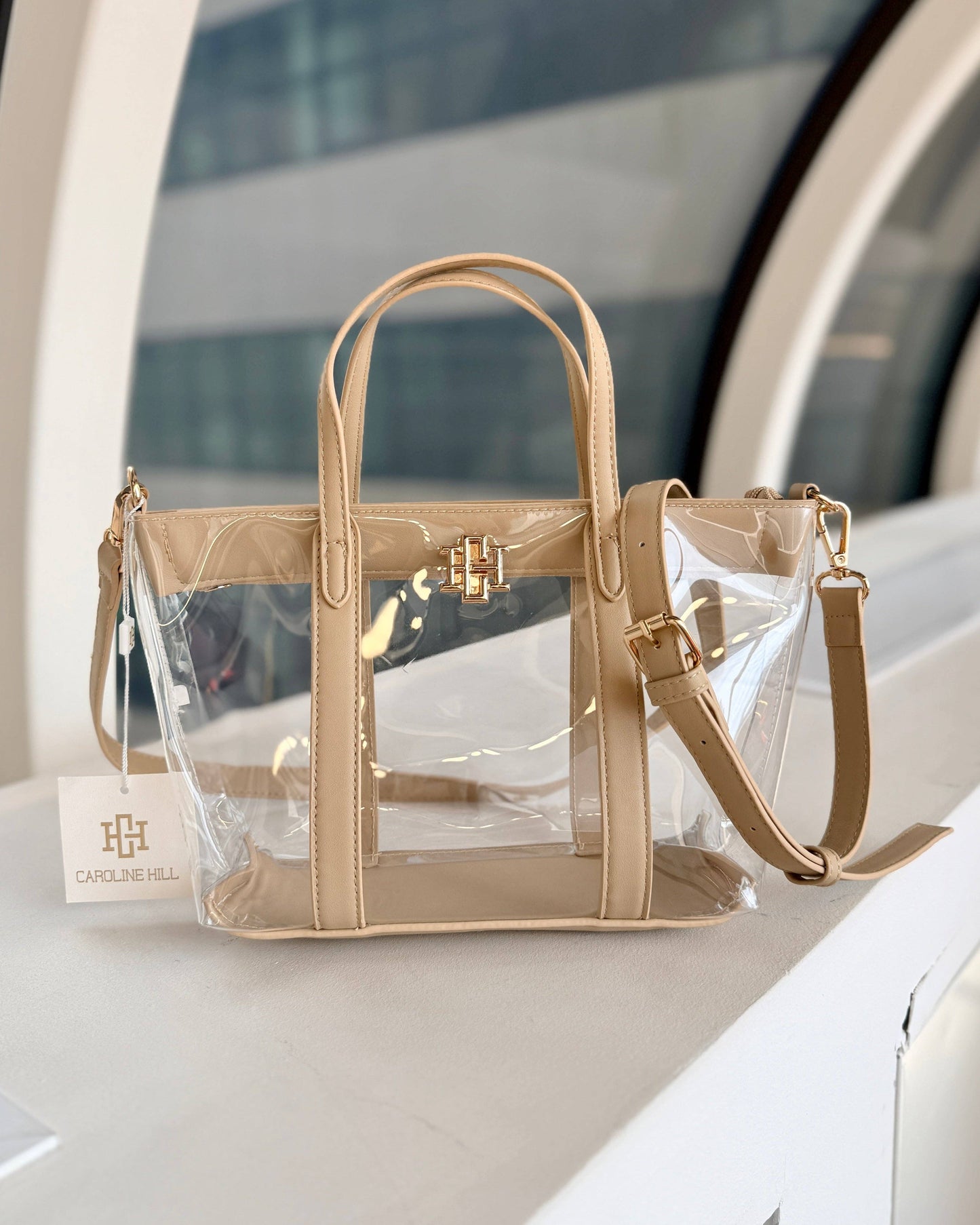 Molly Clear Mini Tote in Nude