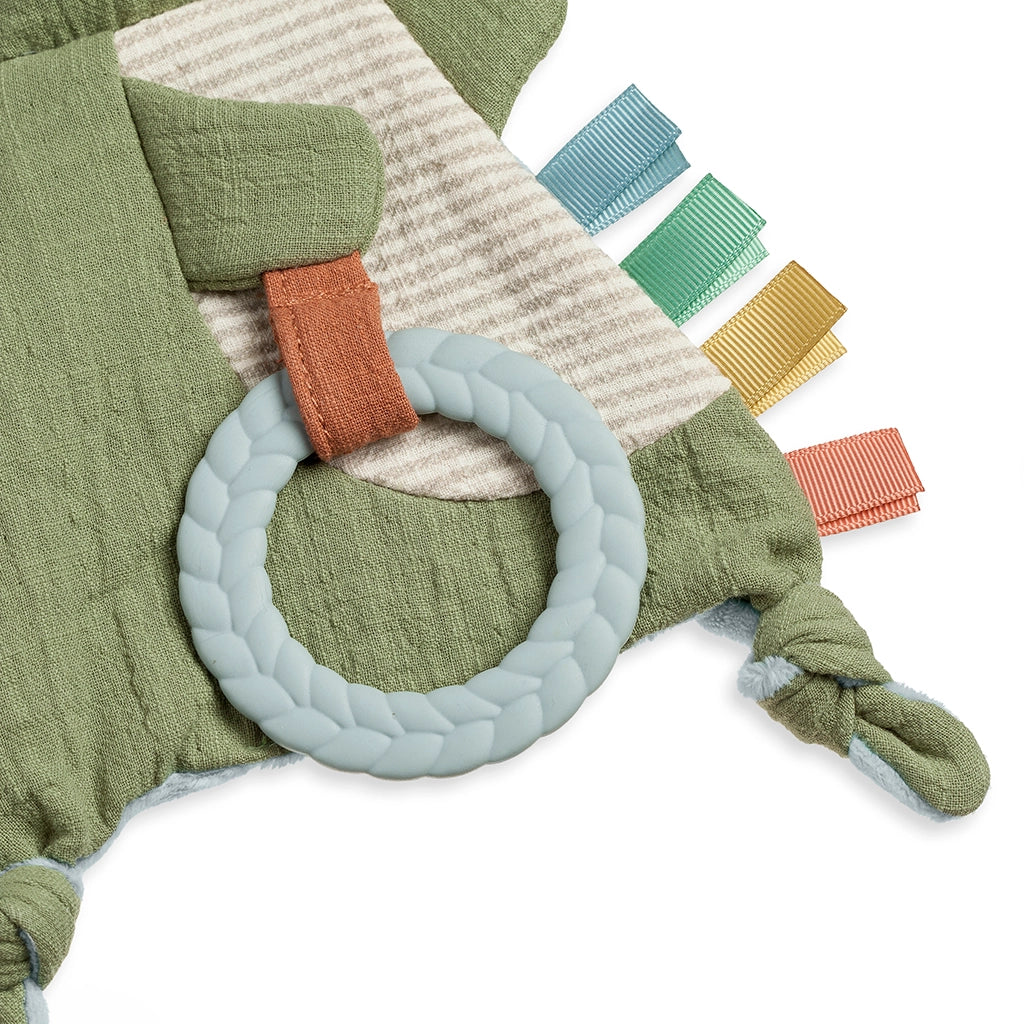 Dino Bitzy Crinkle Teether Toy