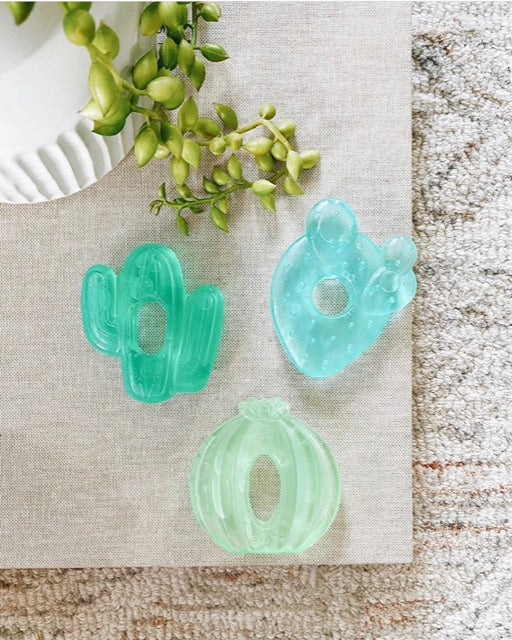 Cactus Cutie Coolers Teethers