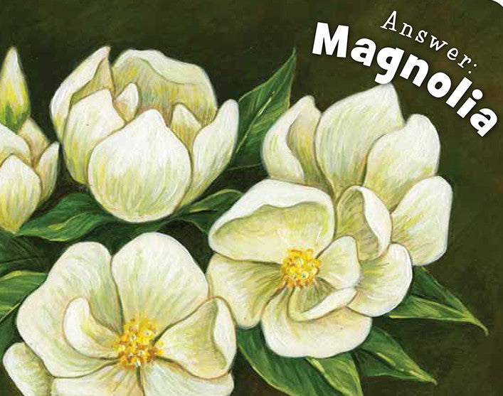 Little Mississippi Board Book