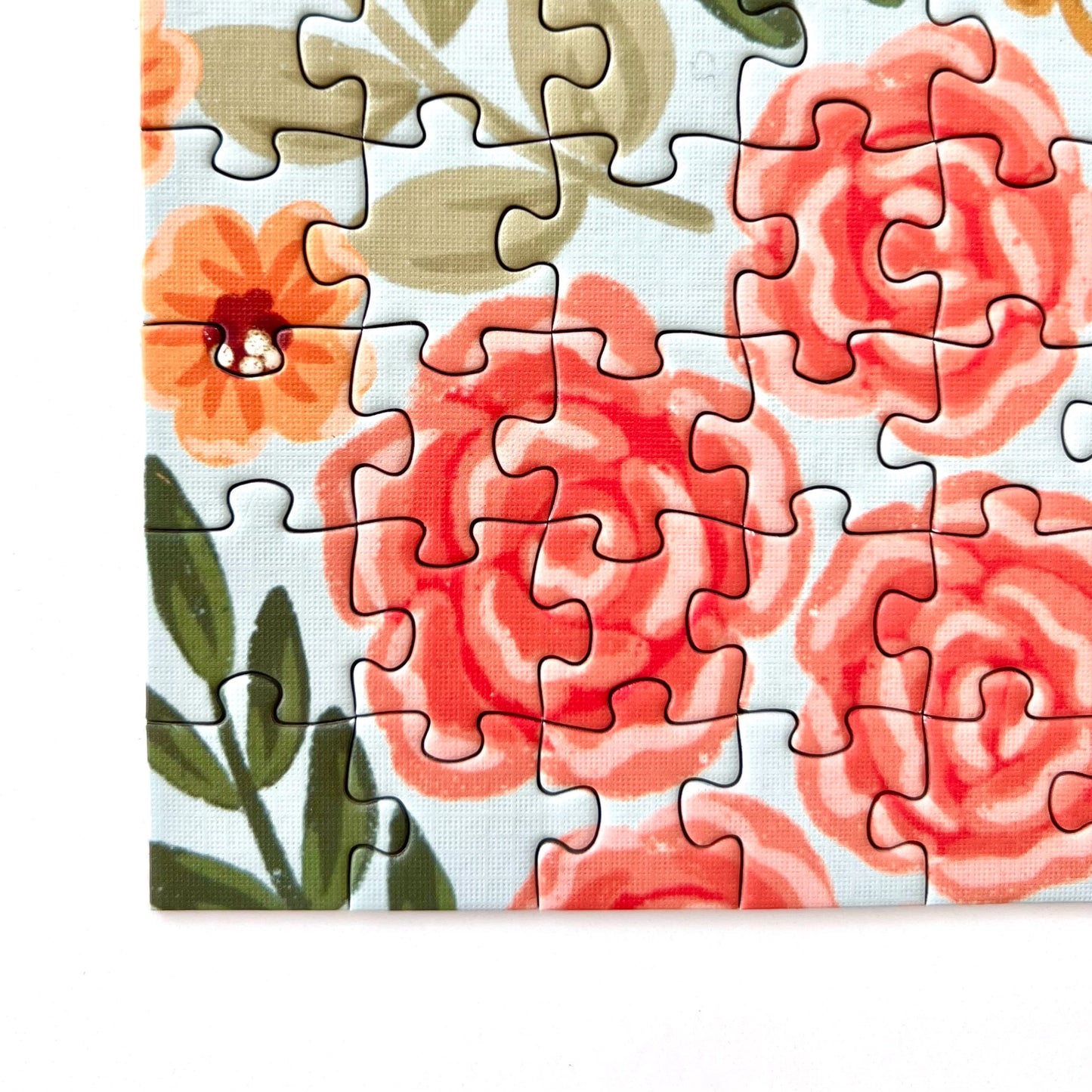 Cactus Blooms Puzzle