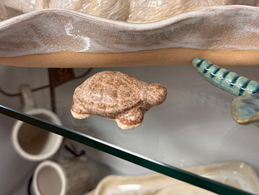 Sonshine Mini Turtle - Nutmeg