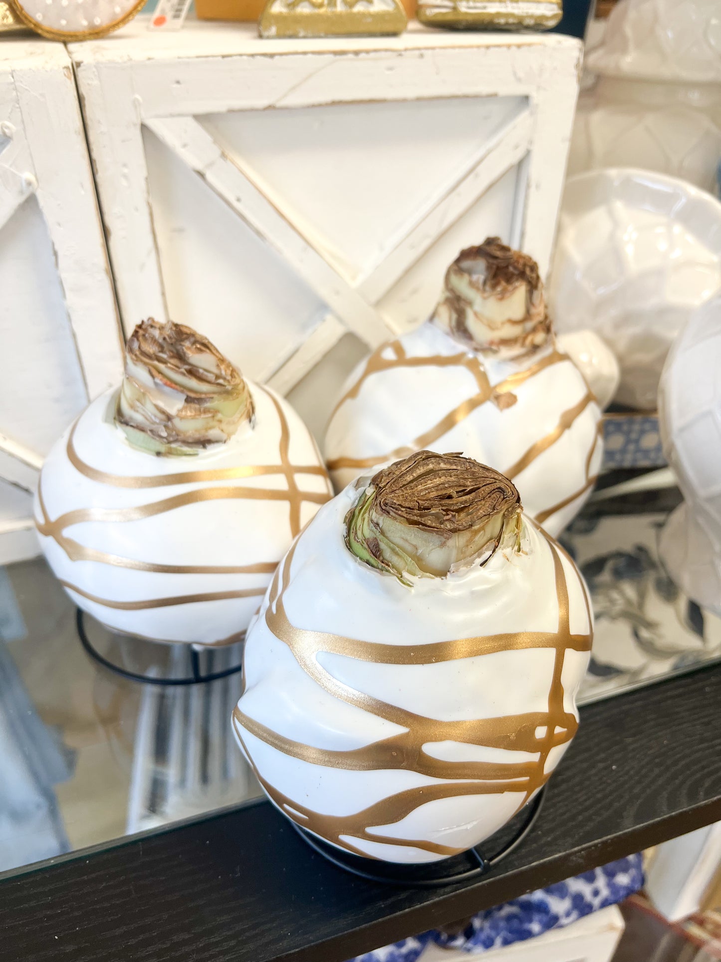 Double White Flower With Gold/White Swirl Amaryllis Bulb