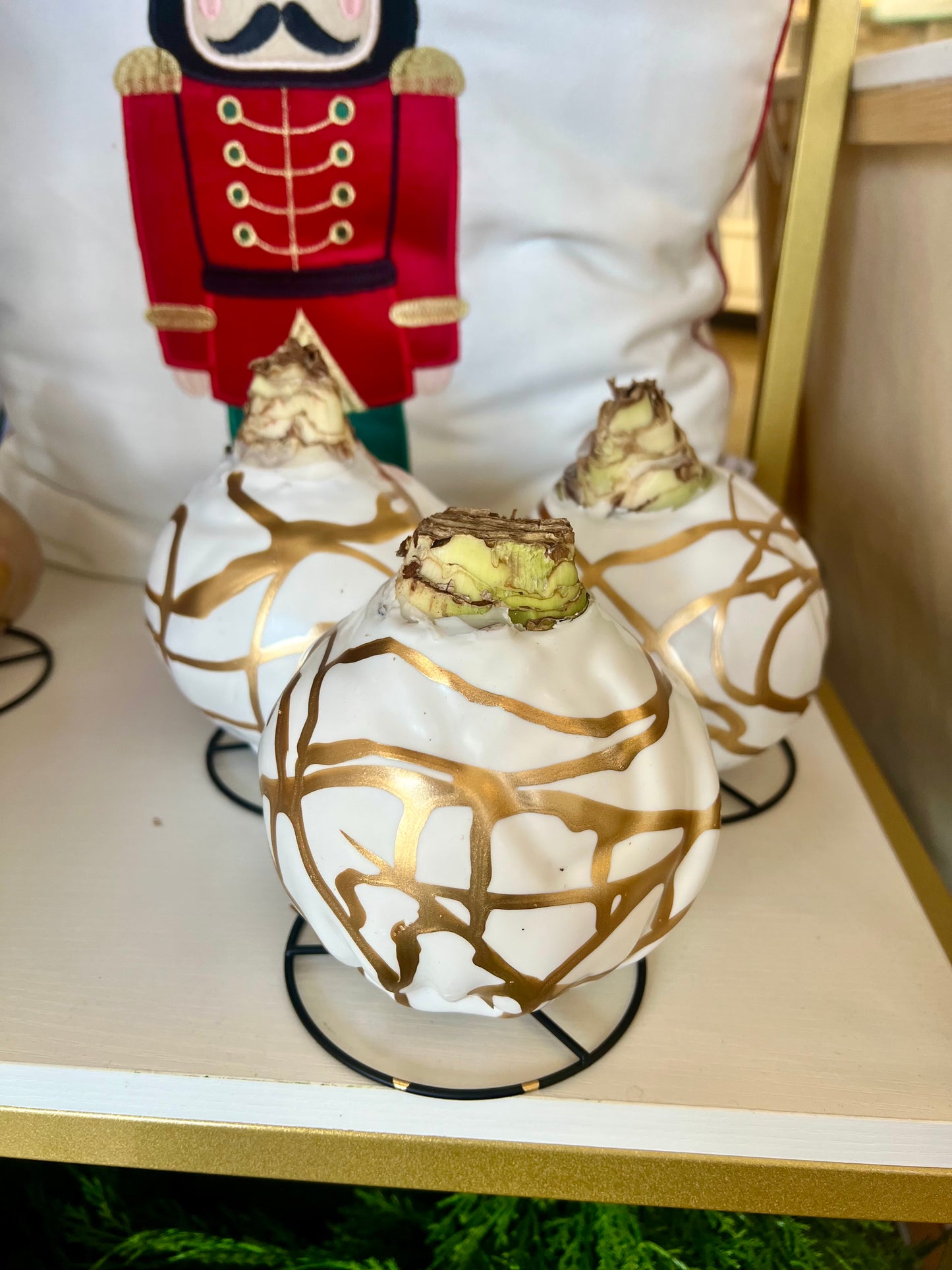 Double White Flower With Gold/White Swirl Amaryllis Bulb