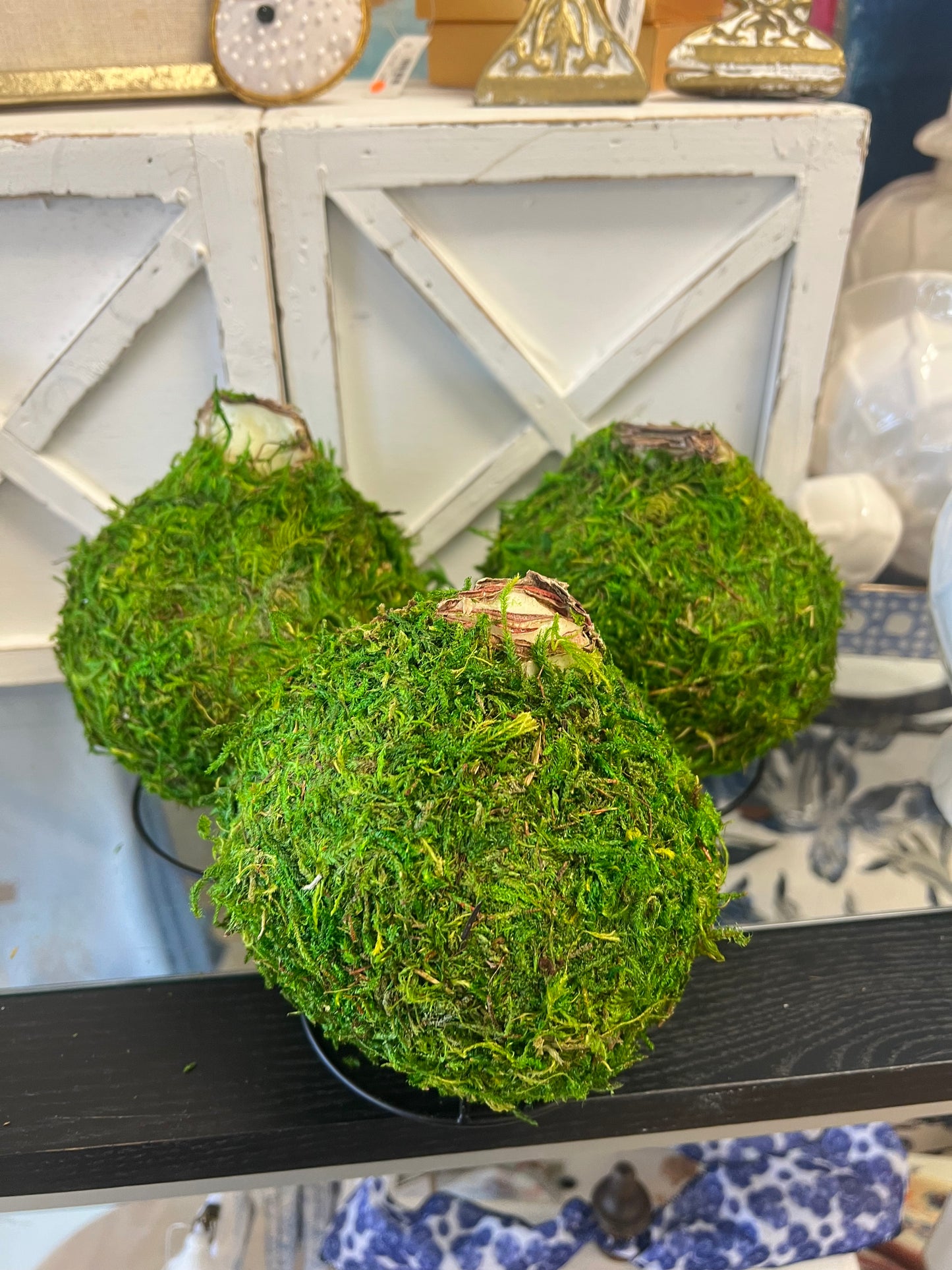 Double White Flower With Moss Amaryllis Bulb