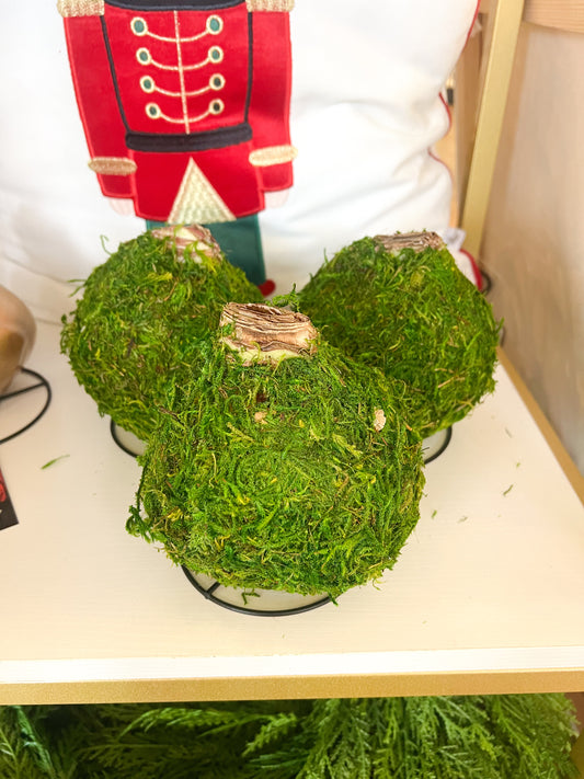 Double White Flower With Moss Amaryllis Bulb