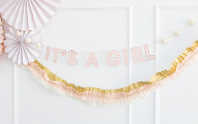 It's A Girl Party Banner