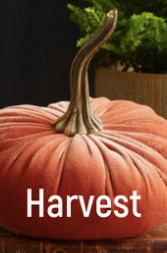 Large Velvet Pumpkin