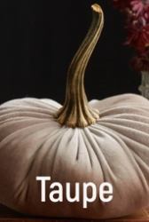 Large Velvet Pumpkin