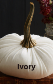 Large Velvet Pumpkin