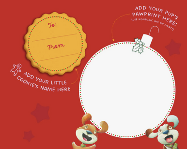 A Cookie For Santa Book
