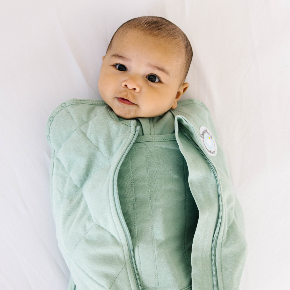Dreamland Baby Weighted Sleep Swaddle - Sage Green