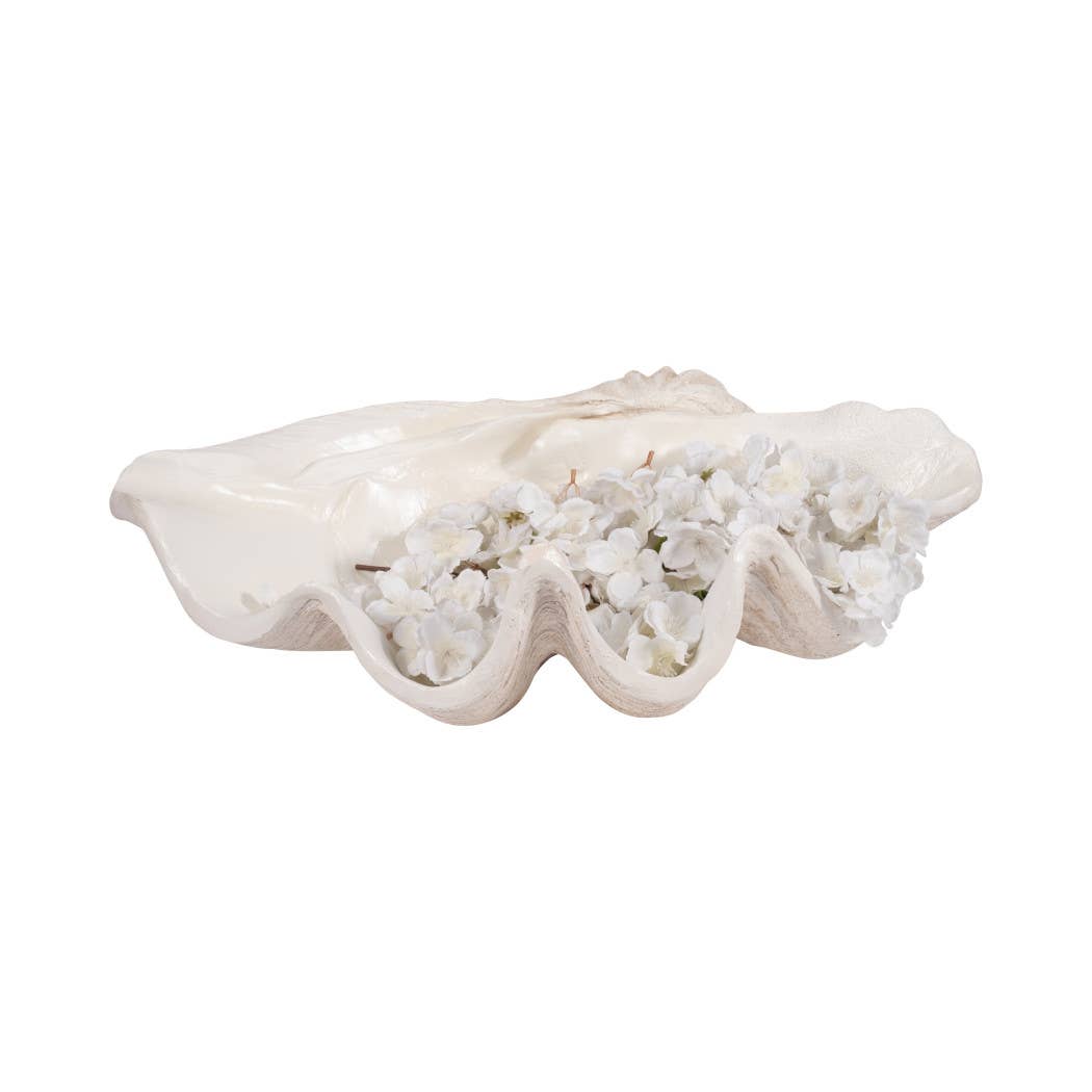 Ivory Polyresin Pearlized Clam Shell - 25 in.