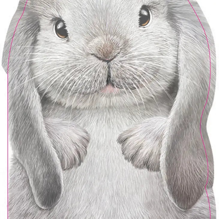 Furry Bunny Board Book