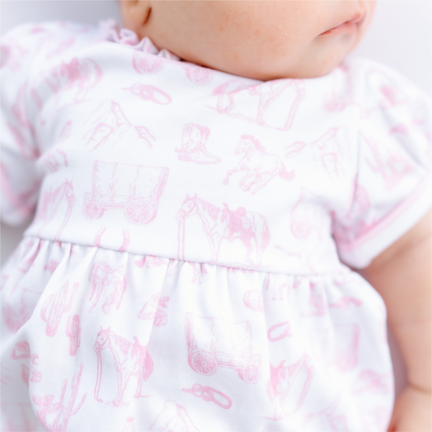 Wild West Pink Toile Bubble