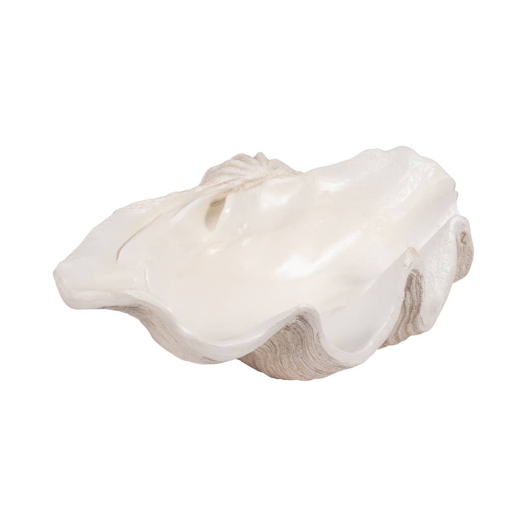 Ivory Polyresin Pearlized Clam Shell - 25 in.