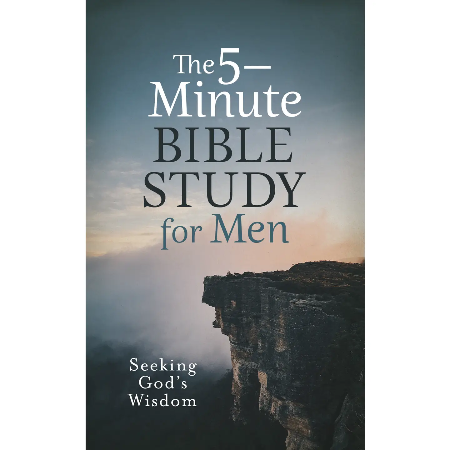 The 5-Minute Bible Study For Men: Seeking God's Wisdom