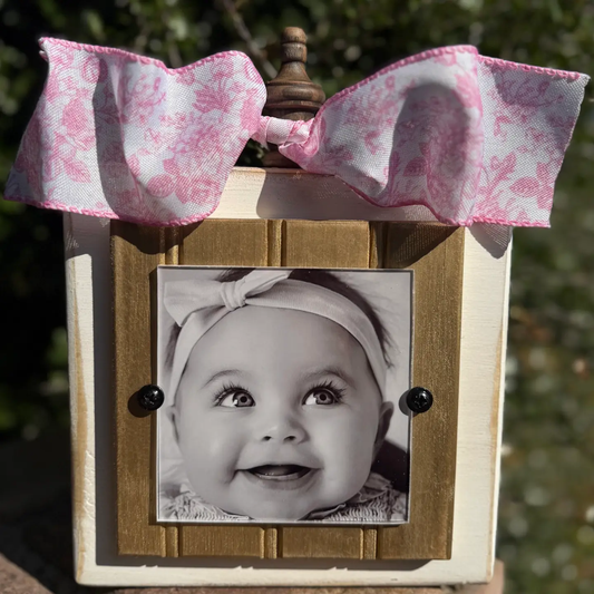 Handmade Picture Frame with Pink Chinoiserie Ribbon