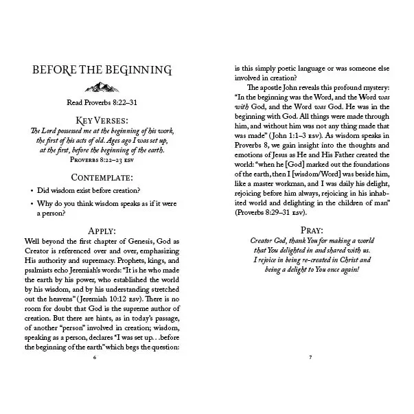 The 5-Minute Bible Study For Men: Seeking God's Wisdom