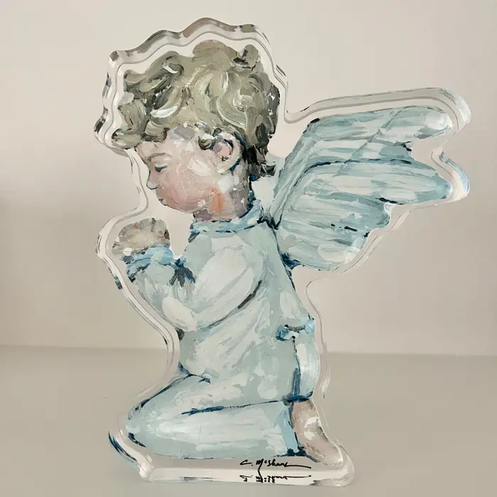Tiny Wings Acrylic Shelfie
