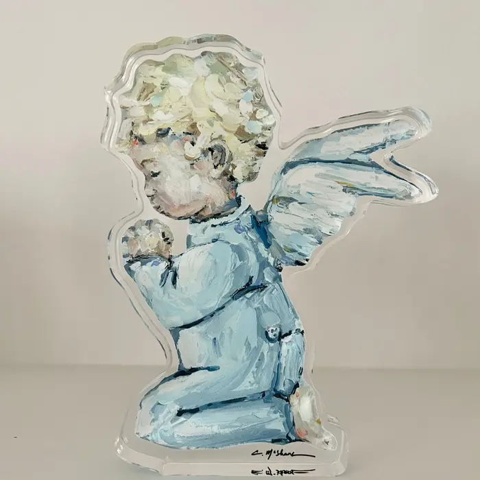 Tiny Wings Acrylic Shelfie