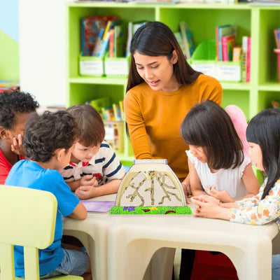 Raise & Release Ant Hill