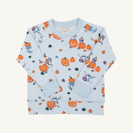 Boys Cassidy Comfy Crewneck - Candy and Critters